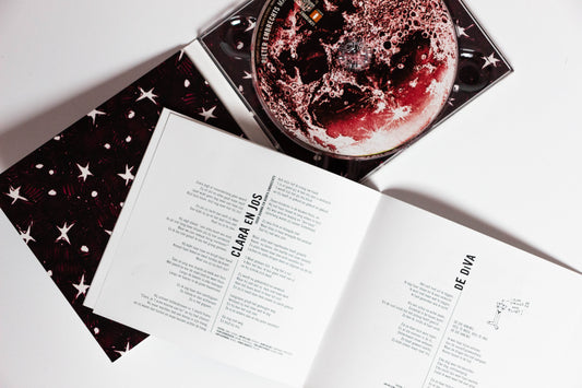 Pieter Embrechts - "Maanzin" (CD)