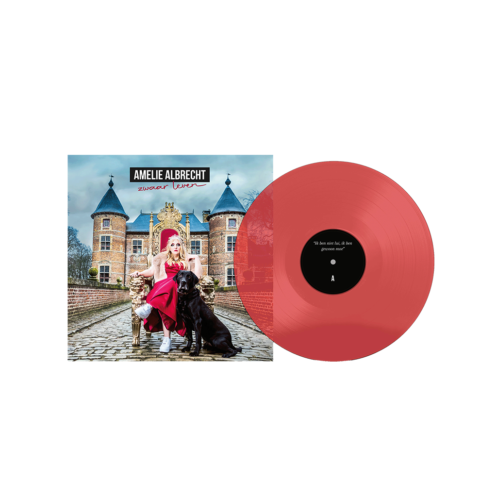 ZWAAR LEVEN (2x LP)
