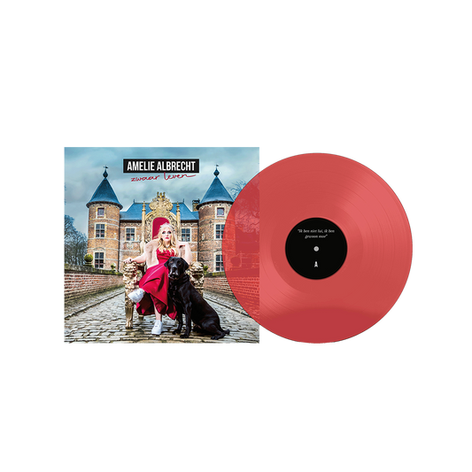 ZWAAR LEVEN (2x LP)